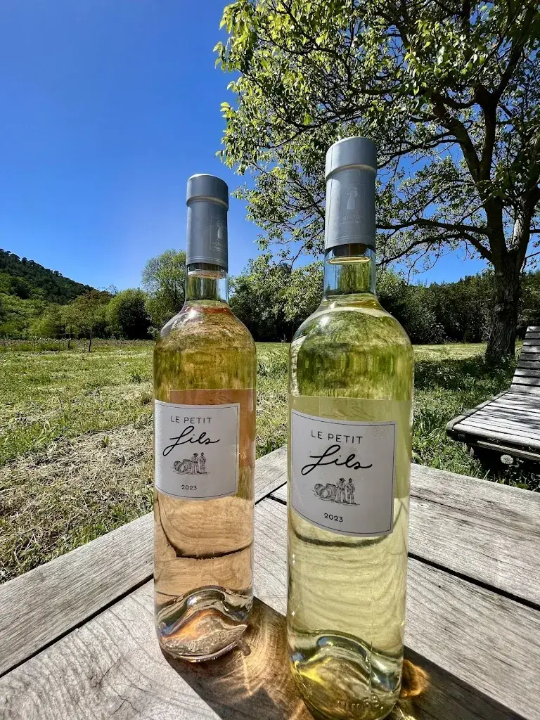 Menu_Restaurant à Tapas, Cave à vin Le Petits Fils à Bargemon_Bargemon_image_6