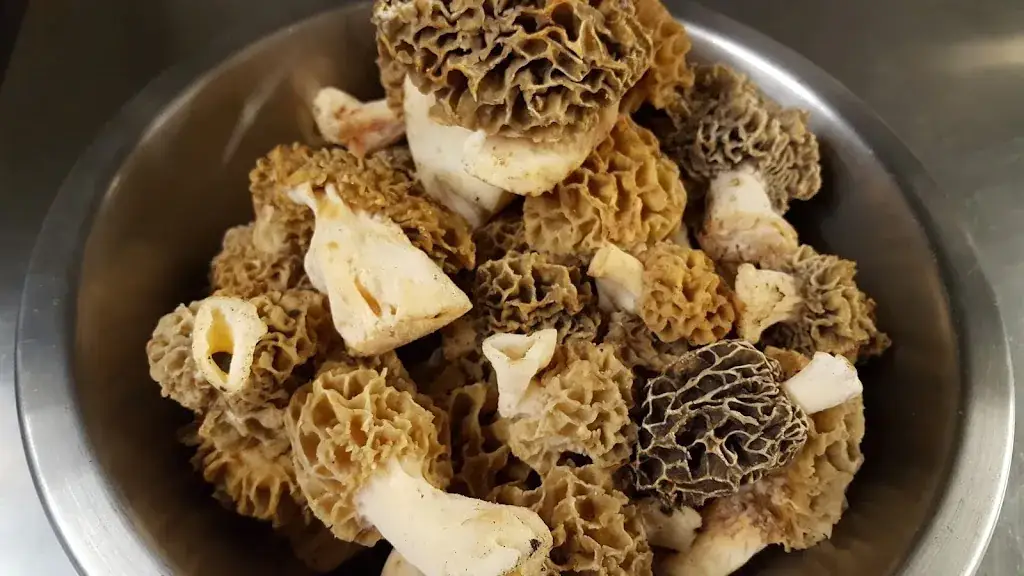 Golden blue_Bouchage_slider_image_2