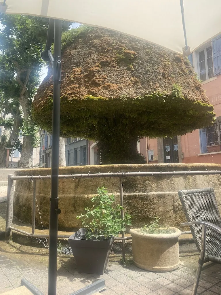 Helen G _Toto Vino, restaurant cave à vin à Barjols_Barjols_review