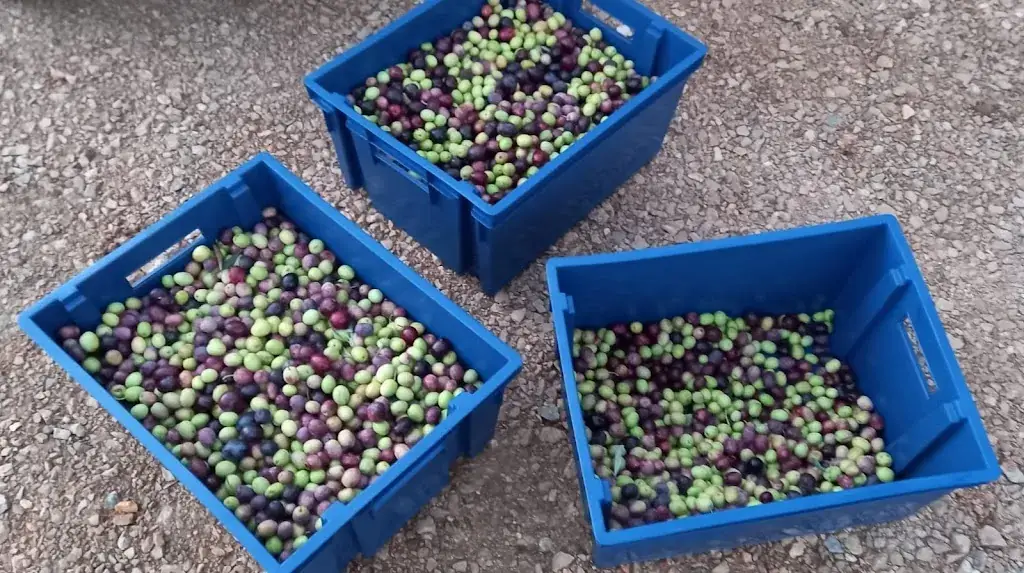 Menu_Casa Della Pizza Barjols_Barjols_immagine_9