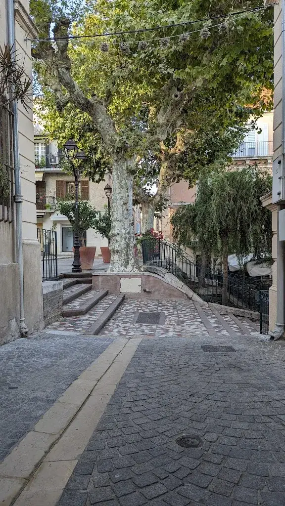 Are Mack Growen_L' Atelier du goût Bandol_Bandol_review