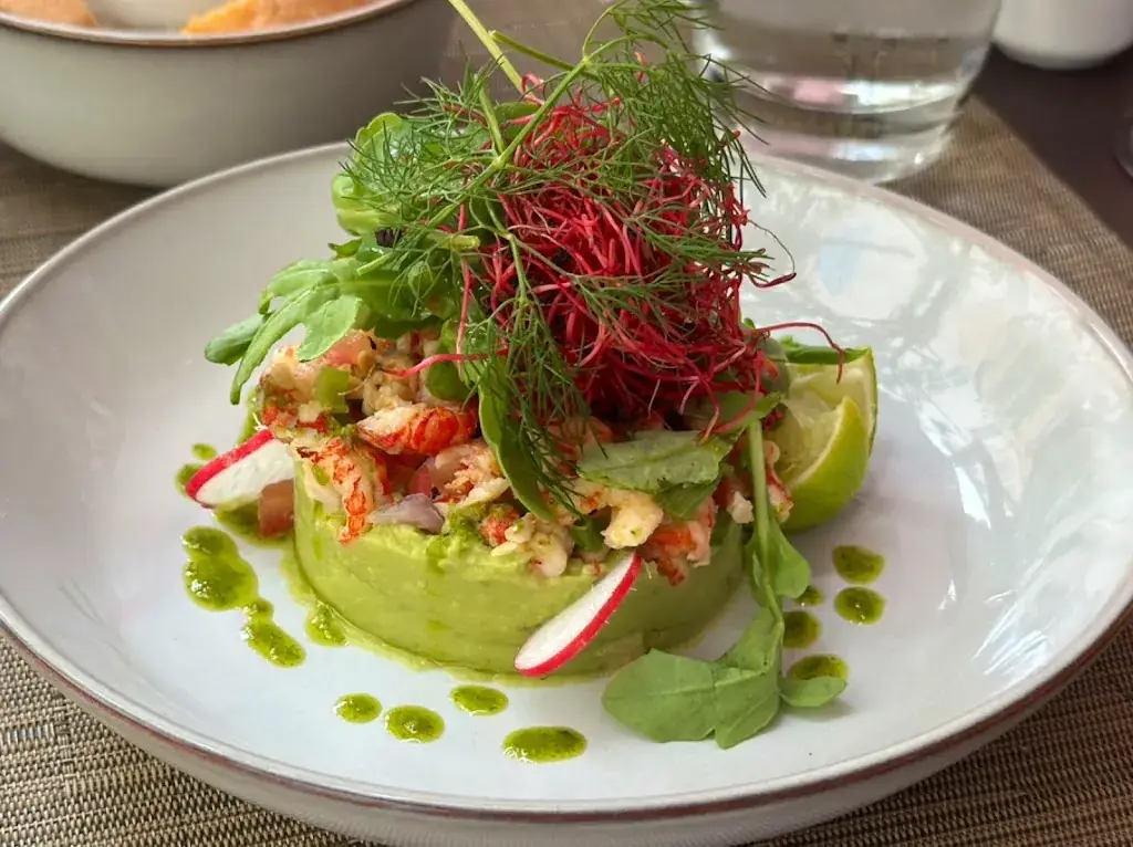 Taichi Soga_Swan's side_Bandol_review