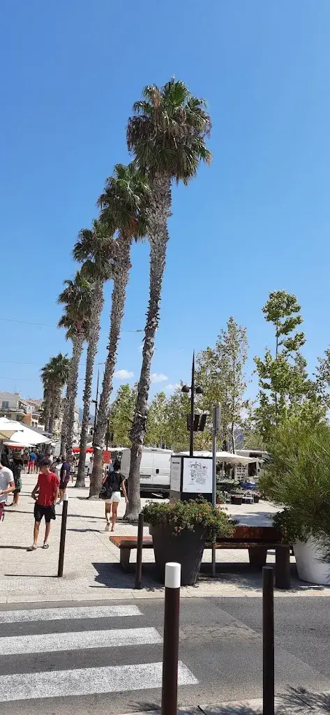 Fabien Puglia_La Marine_Bandol_review