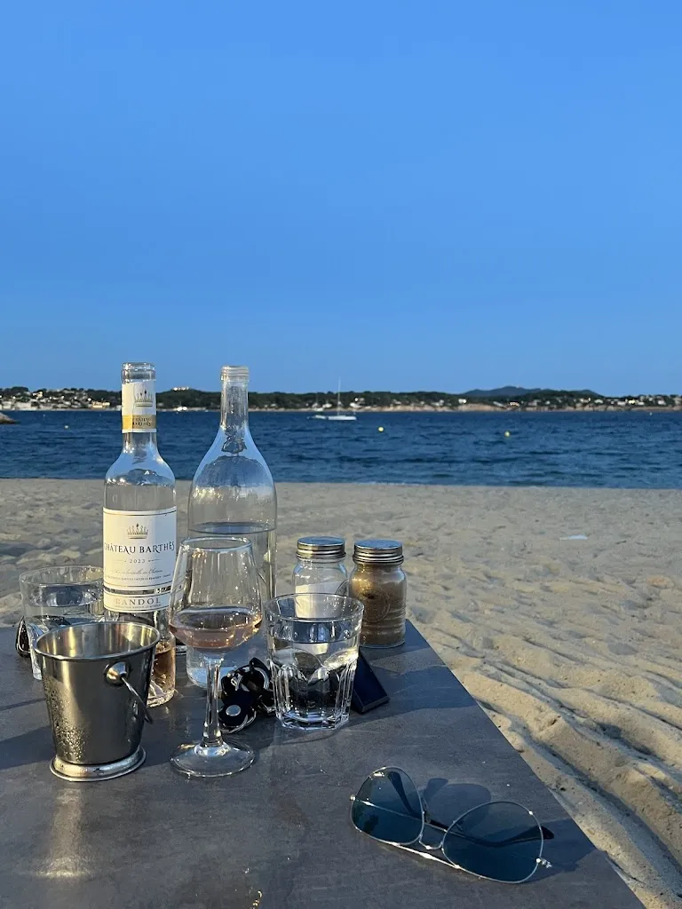 Thomas van Vliet_Palm-b_Bandol_review