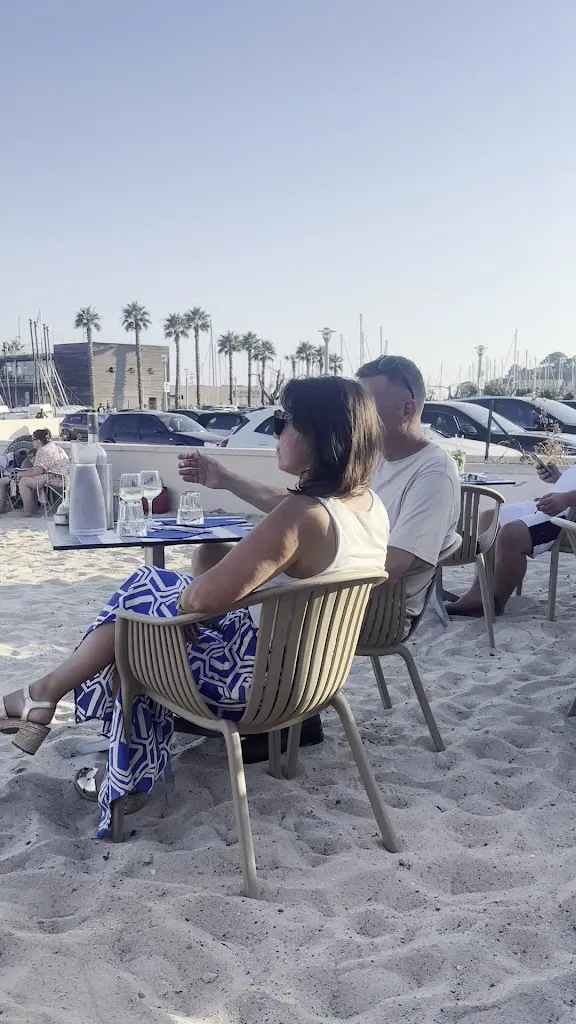 Palm-b_Bandol_slider_image_2