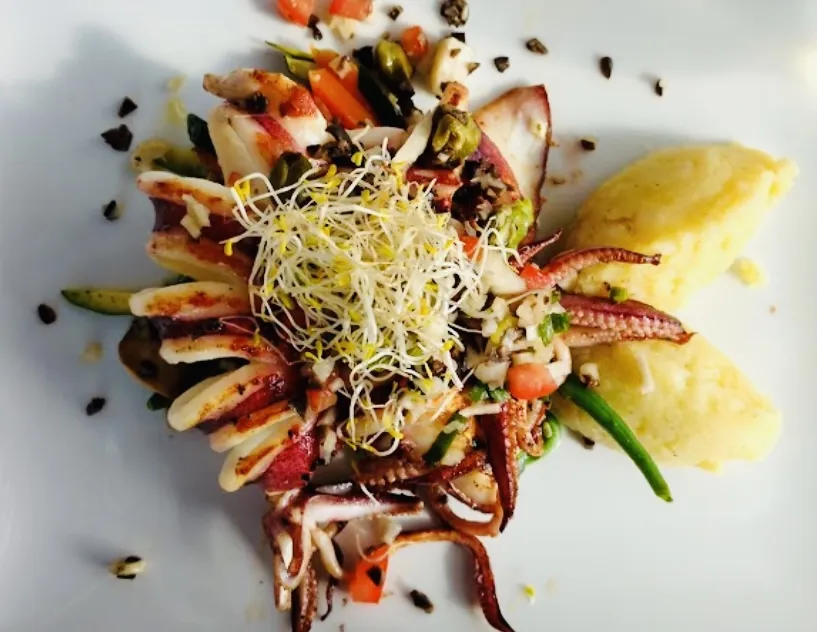 Palm-b_Bandol_slider_image_3