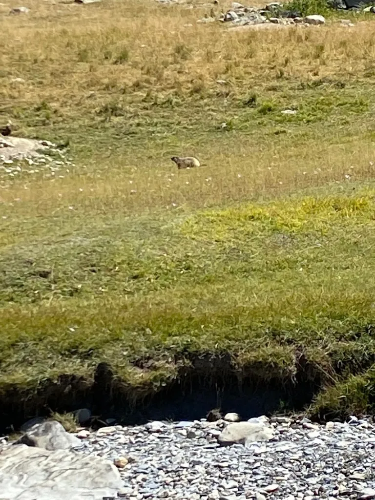 Monique DAVID_Gite Auberge L'Eterlou_Faucon-de-Barcelonnette_recensione