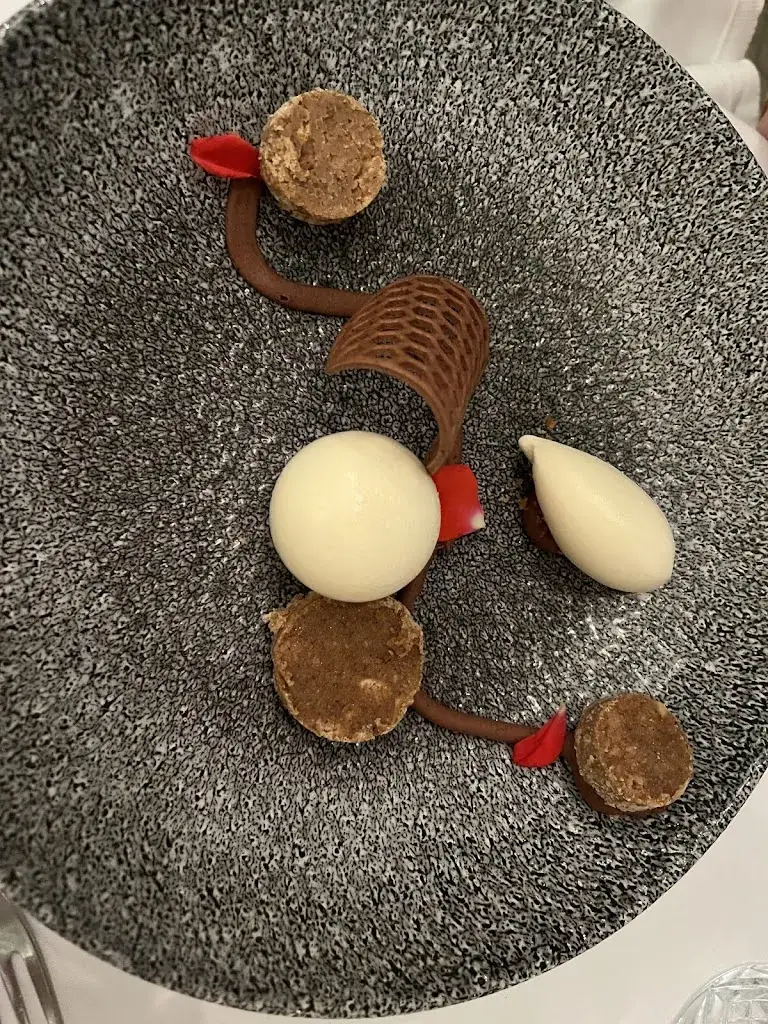 Ana Rivas_Hostellerie Château des Fines Roches_Châteauneuf-du-Pape_review