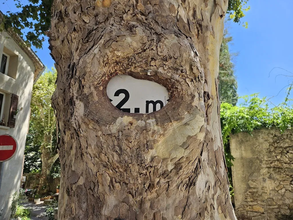 Pizza Bella ( bruna Thibault)_Belgentier_slider_image_1