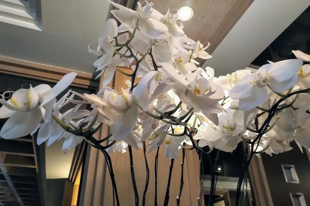 M. Gabriel_Chez Thaï_Neuilly-sur-Seine_review