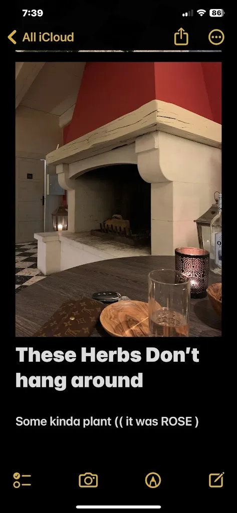 Deborah Freeman_La Colombe_Bédoin_review