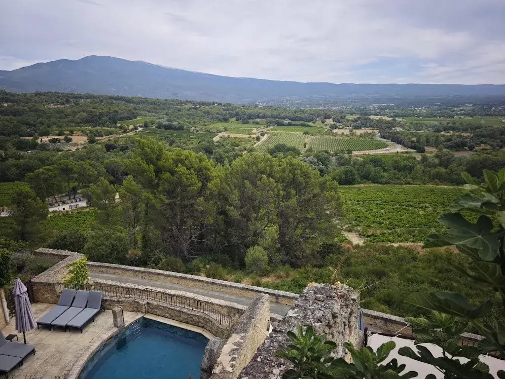 Charles Carrard_CLOVIS & BASINA | Restaurant à Crillon Le Brave_Crillon-le-Brave_avis