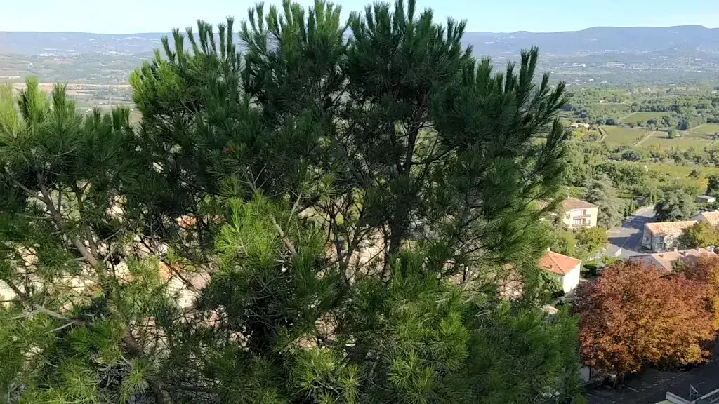 Brasserie St André_Bonnieux_slider_image_2