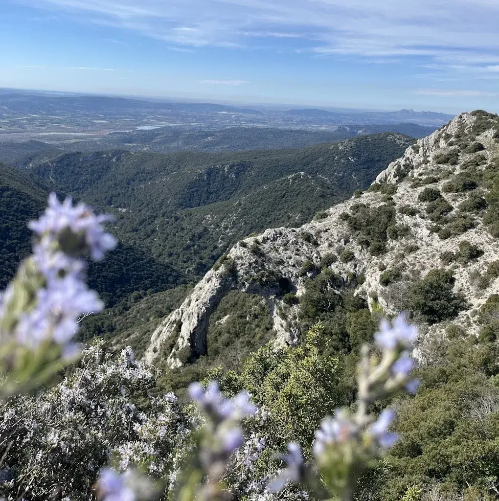 David Borgert_Bistrot Le Terrail_Bonnieux_review