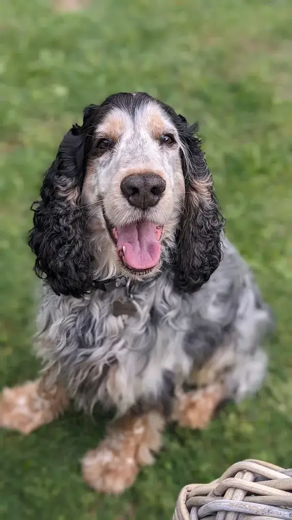 Nick Ramirez_Le Mas Les Eydins : Maison d'hôtes et table gastronomique en Luberon_Bonnieux_review