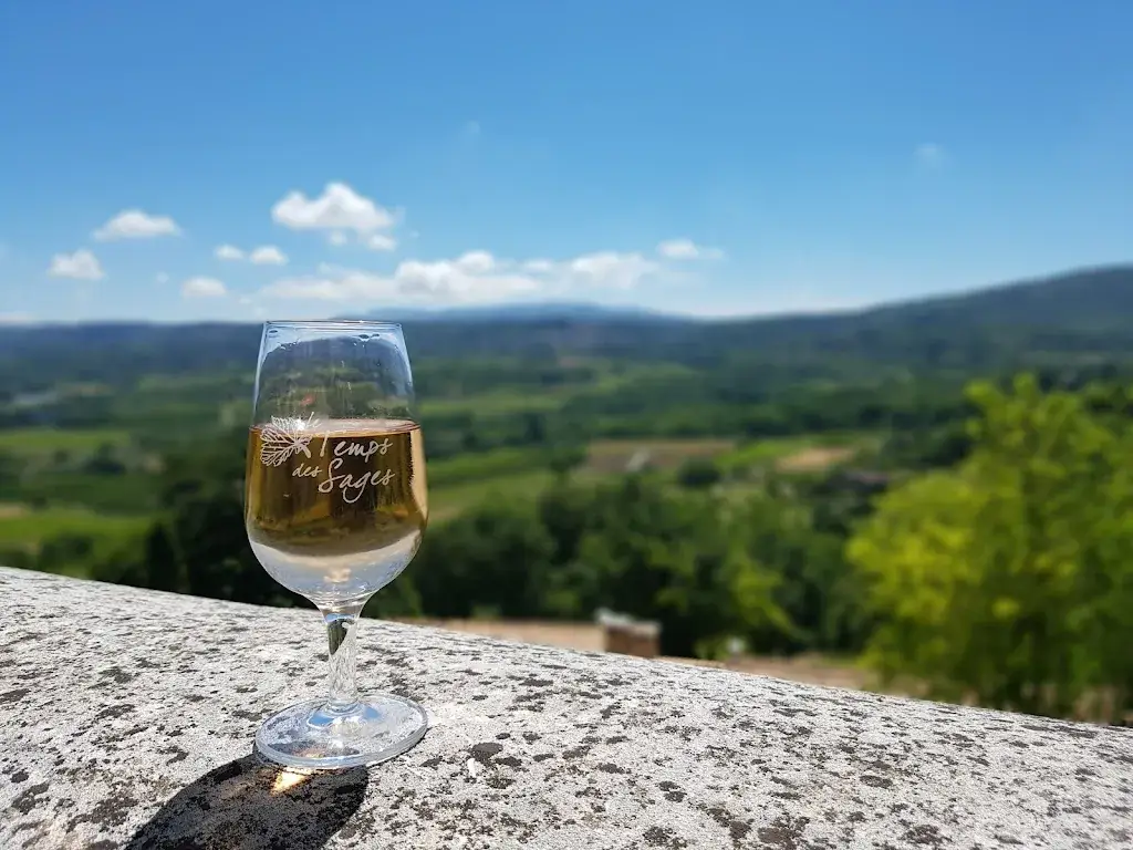 Menu_Cafe de France_Lacoste_image_7