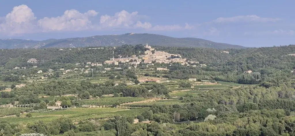 Nicolas Guichard_Cafe de France_Lacoste_review