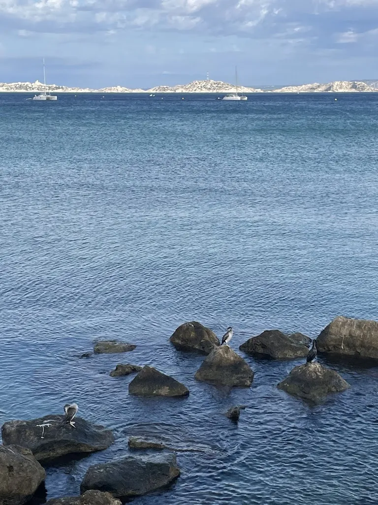 Amanda Ernenwein_O-beach Bar a Tapas_Marseille_review