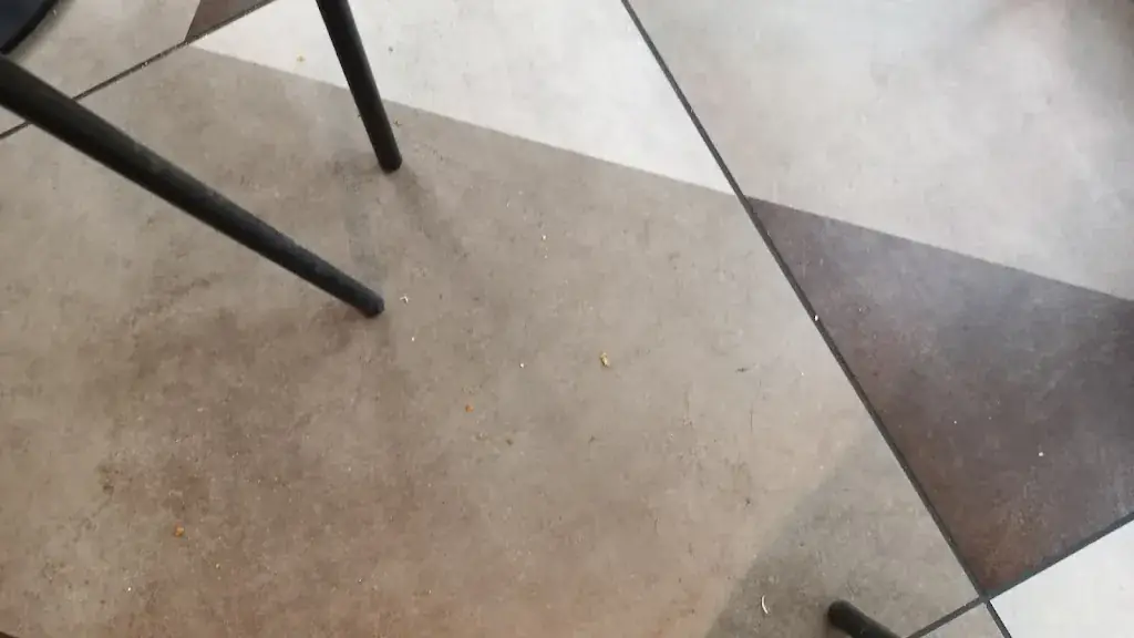 Bahadir Afkan_Burger King_Marseille_review