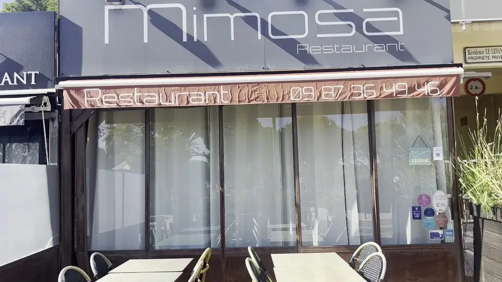 Mimosa Restaurant_Bormes-les-Mimosas_slider_image_2