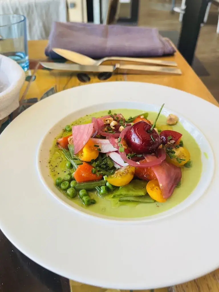 Ponchalita Cleeren_La Tonnelle/Maison Gil Renard sous la tonnelle_Bormes-les-Mimosas_review