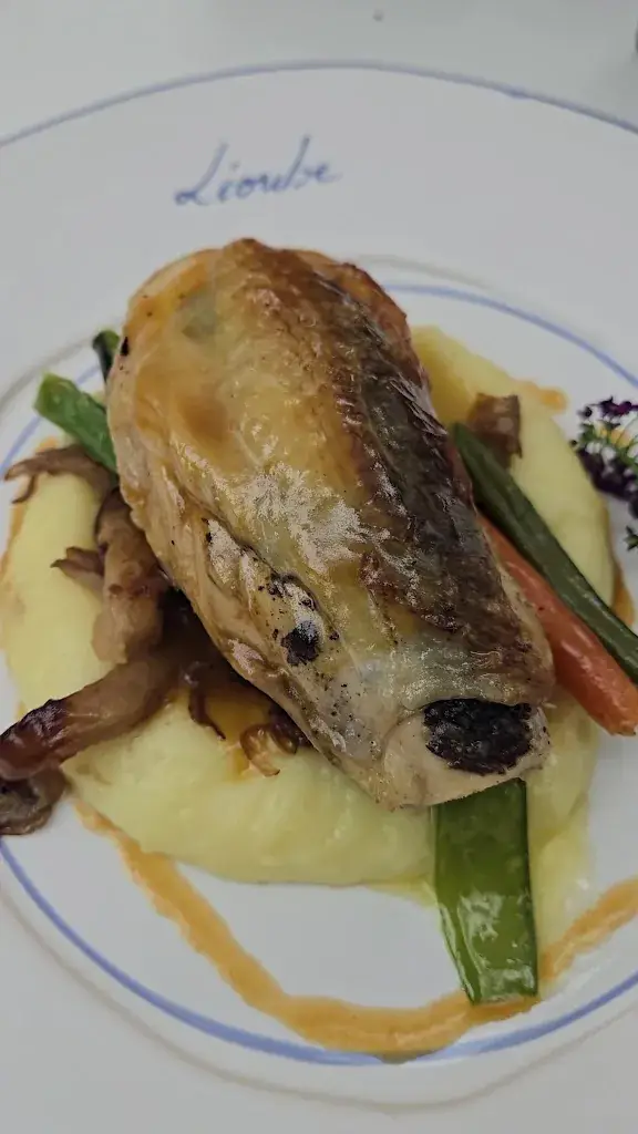 Joanne Philpott_Café Léoube_Bormes-les-Mimosas_review