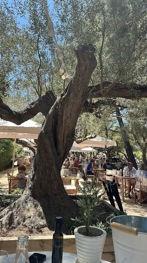 Raphaël Delstanche_Café Léoube_Bormes-les-Mimosas_review