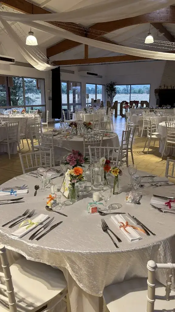 Marie Forest_The Source Field_Ouches_review