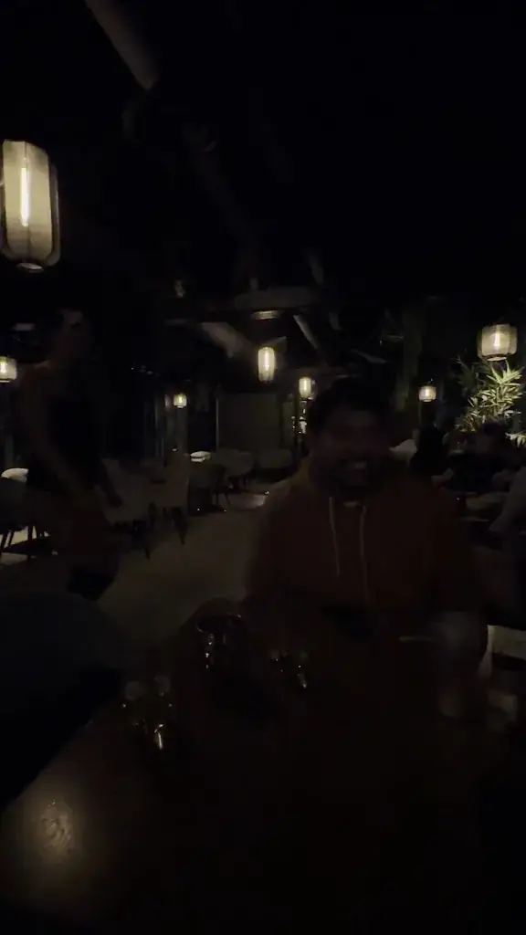 Vitalijs Arzanovskis _Gaya - Restaurant Bar Lounge_Cabriès_review