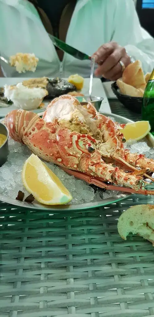 Menu_Barnex - O Garden - Restaurant Plan de Campagne_Pennes-Mirabeau_image_8