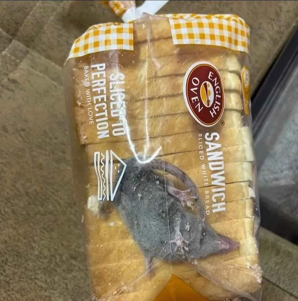 Claude Pernot_YAN SUSHI_Cabriès_review