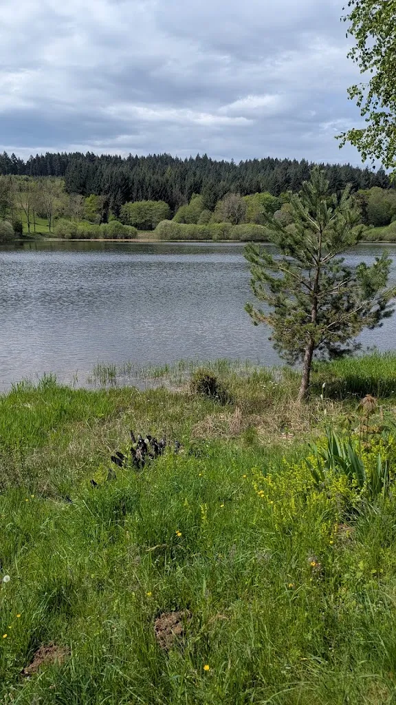 Restaurant Les Temps de Royon à1 Km de A89 - sortie 31_Salles_slider_image_3