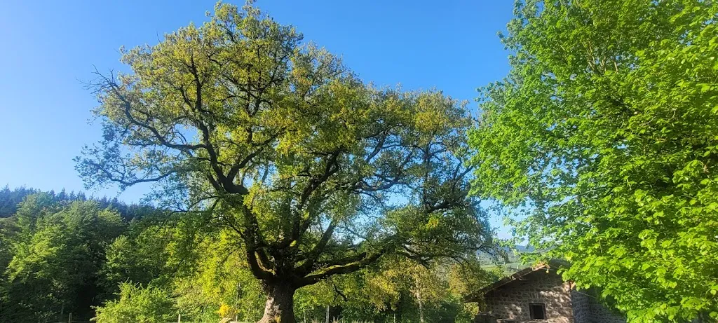 Dominique Erster_Ferme de la Gilbernie_Noirétable_review