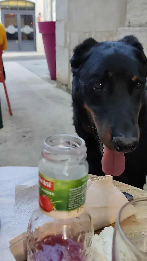 David Micheau_LE CROQUE BEDAINE Brignoles_Brignoles_review