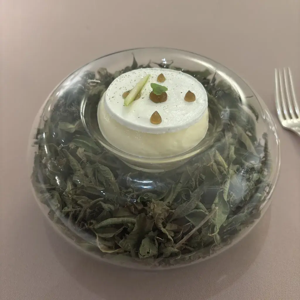 Денис Минин_La Table de Philippe Girardon_Chonas-l'Amballan_review