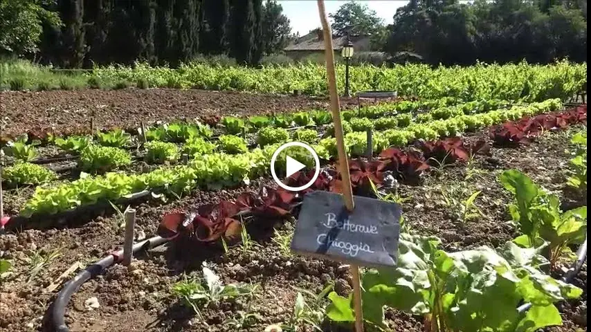 Inn De L'abbaye De La Celle Restaurant in Celle