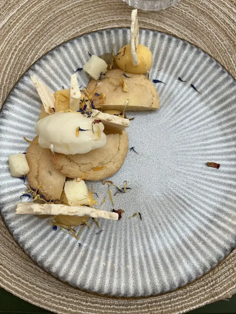 Jacob Schjødt_Picotte Provence_Cotignac_review