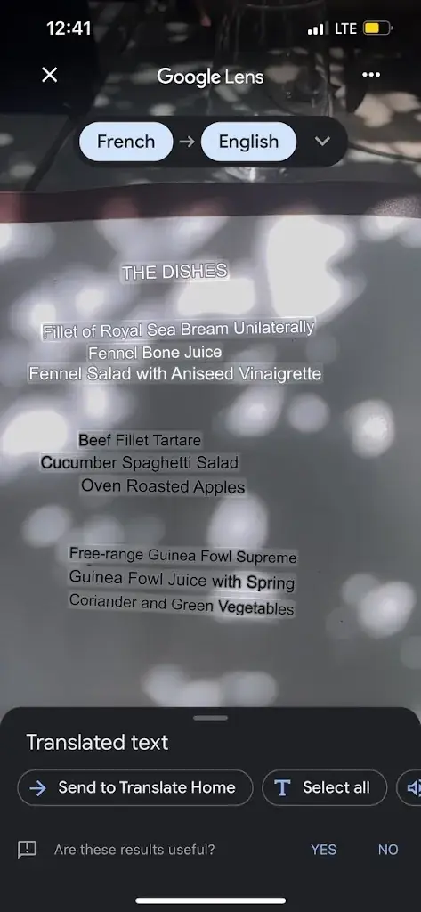 Jeffrey Ketron, Sr._Au Moulin Gourmand. Cadenet_Cadenet_review