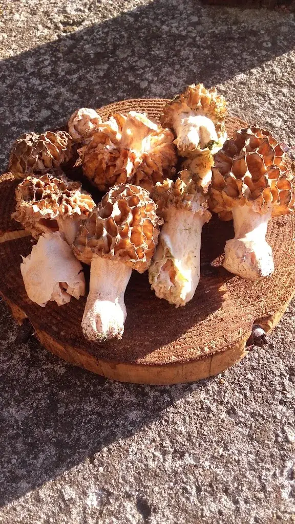 Menu_LA FAMILLE_Travaillan_image_7