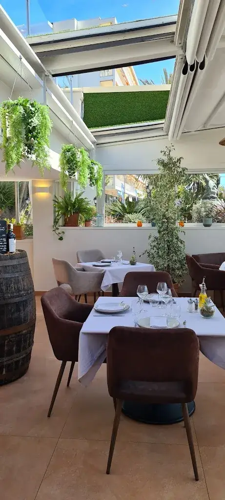 Vivo - Restaurant à Cagnes sur Mer_Cagnes-sur-Mer_slider_image_1