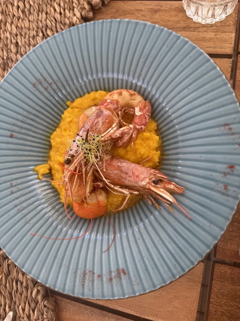 Nivine Hadi_Le Carre Bleu_Cagnes-sur-Mer_review