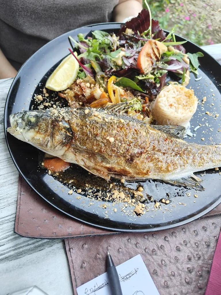 Debbie Dong_LE PETIT PACHA_Cagnes-sur-Mer_review