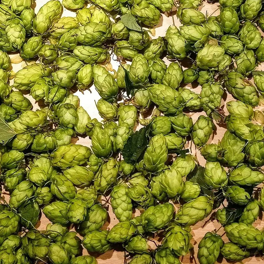 Menu_Le Brassitorium_Callian_image_9