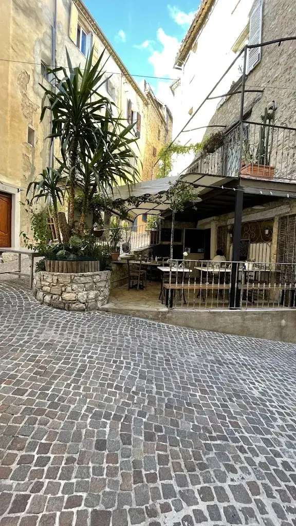 Tim Jacobs_Le 8_Fayence_review