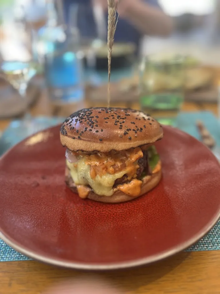 T A_Restaurant le Tousco Grill_Tourrettes_review