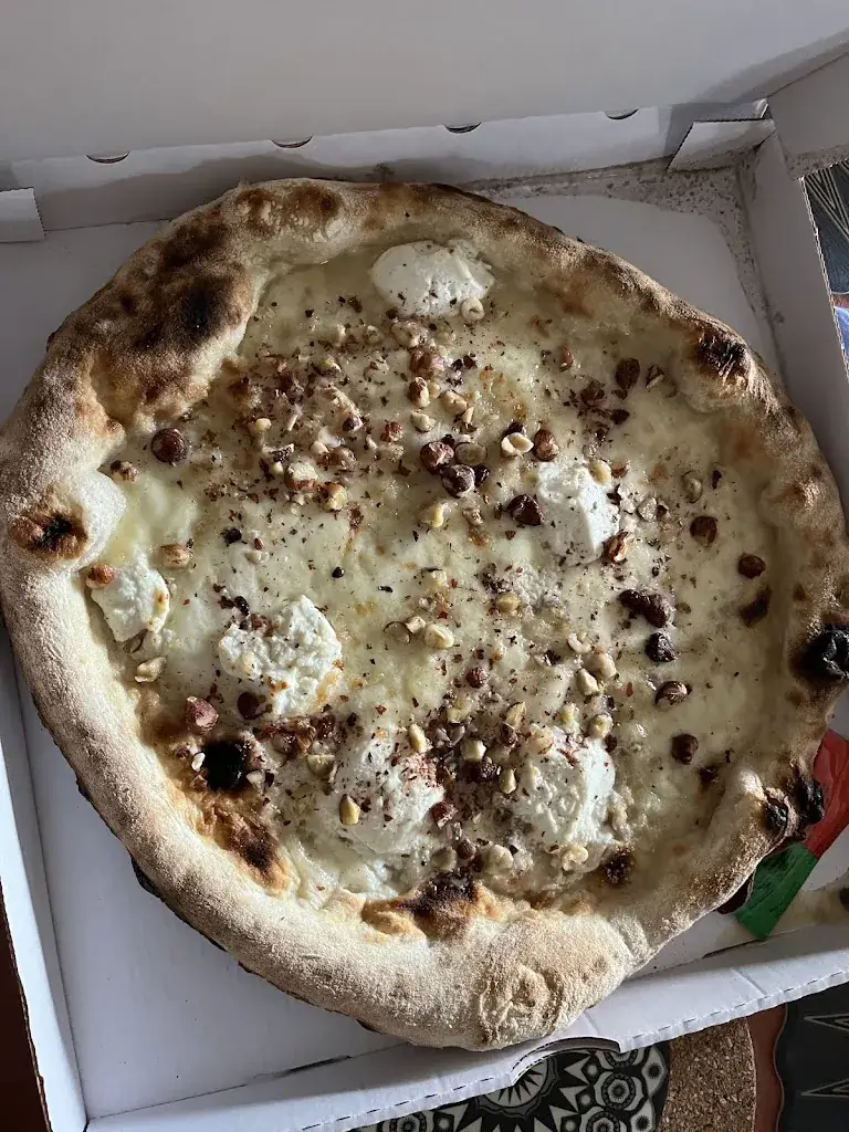 Céline_Le bis_Fayence_review