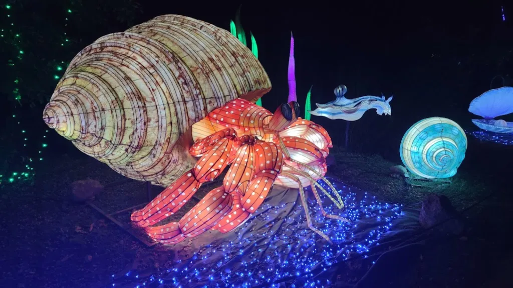 Menu_Resto Brousse du Wow Safari Peaugres_Peaugres_image_3