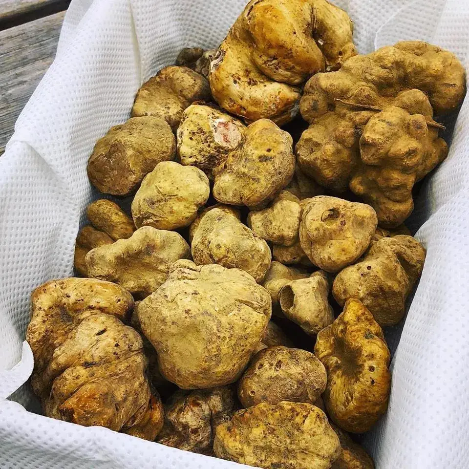 Lucky You Beef & Seafood_Cannes_slider_image_3