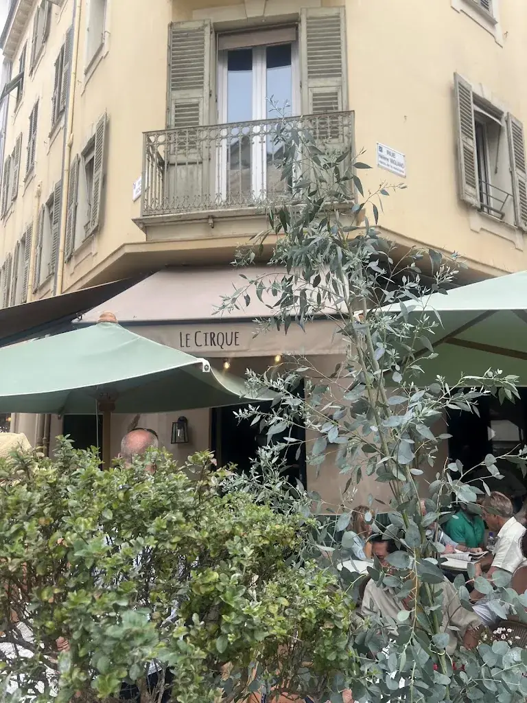 Mariam Almannai_Le Cirque_Cannes_review