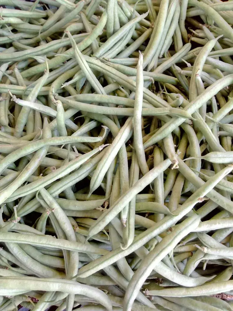 Menu_L Auberge Du Lac_Carnoules_image_2